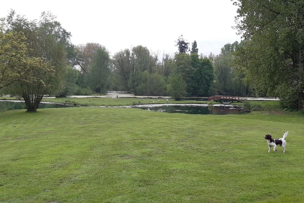 Adorable Maison D'Hotes Bordee D'Etangs Au Calme. Grandcourt  المظهر الخارجي الصورة